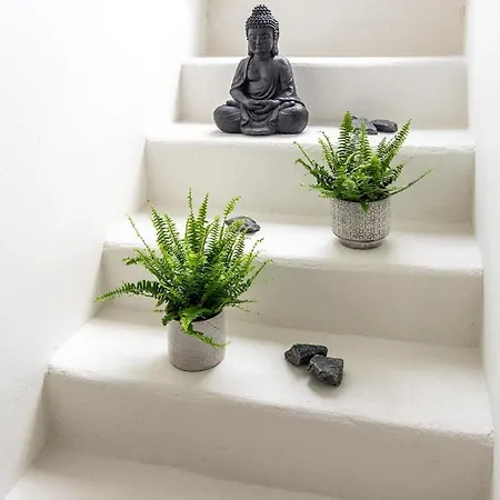 Villa Vase House *